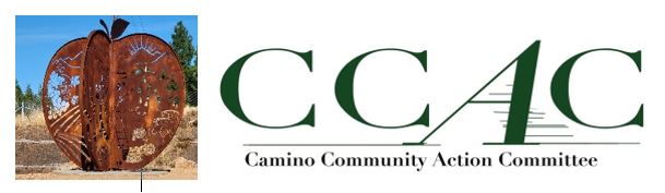 CCAC – Working Together for Camino